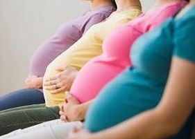 pregnancy - row of bellies
