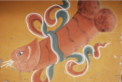 Bhutanese ribboned penis