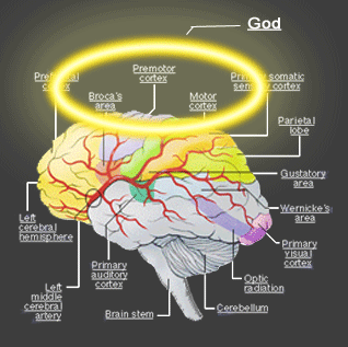 Does Christianity Make An Idol Out of the Human Brain? | AwayPoint
