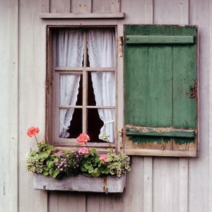 cottage window